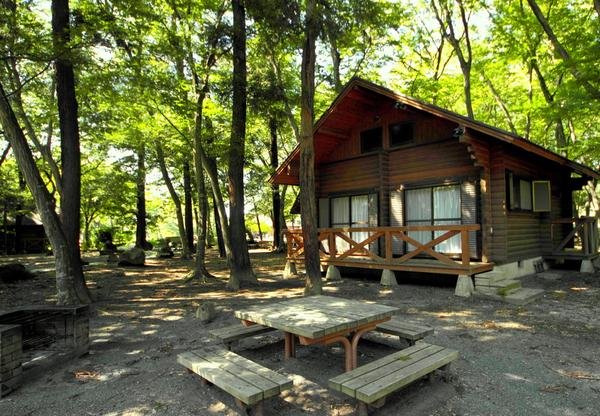 🌳 배꼽 공원(네이블 파크) 이미지 7